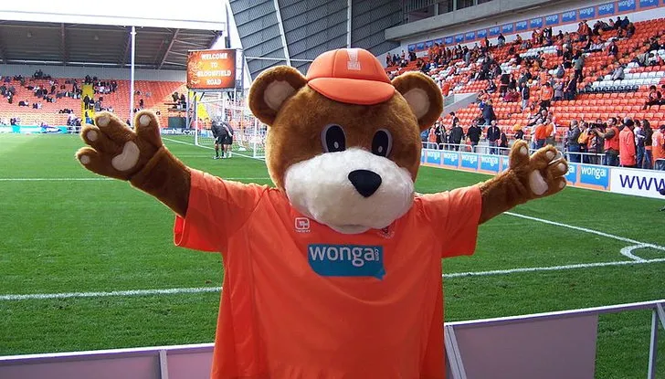 Ảnh Linh vật Bloomfield Bear