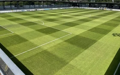 Toàn cảnh sân vận động Princes Park ở Dartford, sân nhà của Dartford FC và London City Lionesses, thể hiện kiến trúc độc đáo với mái che xanh lá cây và hàng ghế khán đài đơn giản.